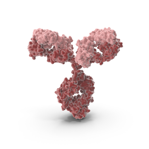 [175] 12 Tag Protein Marker Lysate   